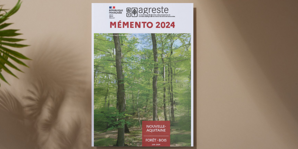 Memento foret bois 2024